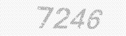 Visual security code — type the characters shown in the image